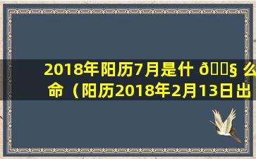 2018年阳历7月是什 🐧 么命（阳历2018年2月13日出生是什么生肖）